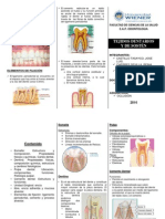 Tejidos Dentarios