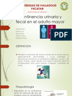 Incontinencia Urinaria y Fecal en El Adulto Mayor