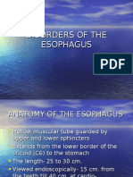 Powerpoint: Disorders of The Esophagus