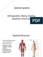 Skeletal System: Orthopedists: Maria, Stanley, Jonathon, and Carla