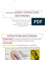 MORFOLOGÍA Y ESTRUCTURA BACTERIANA II Estudiantes PDF