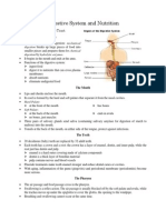 Digestive System and Nutrition