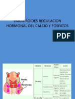 Paratiroides Regulacion Hormonal Del Calcio y Fosfatos