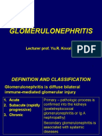 Glomerulonephritis: Lecturer Prof. Yu.R. Kovalev