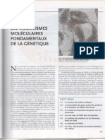 Les Mécanismes Moleculaires Fondamentaux de La Génétique