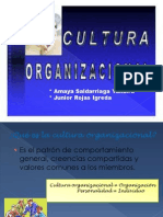 Cultura Organizacional