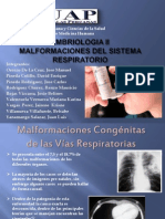 Seminario de Malformaciones Respiratorias