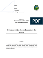 Metodos y Tecnicas PECES PDF