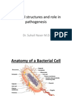 Bacterial Structures Amp Their Role in Pathogenesis