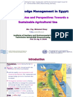 Sewage Sludge Management in Egypt - Mohamed Ghazy