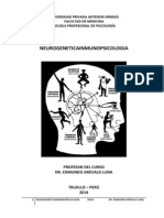 Modulo de NEURO