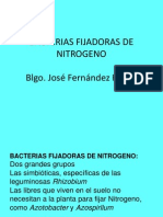 Bacterias Fijadoras de Nitrogeno