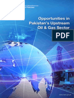 Opportunities in Pakistan Upstream Oil & Gas Sector-2013