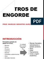 Centros de Engorde