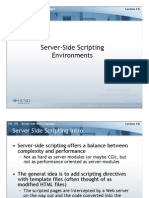 Server-Side Scripting Environments