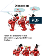 Crayfish Dissection PDF 2014