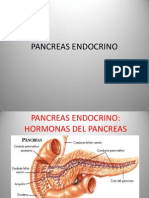 Pancreas Endocrino