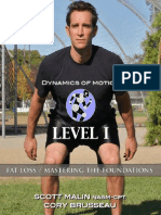 Level 1