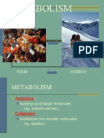 09 Metabolism