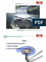 Storage Pumps Reversible Pump-Turbines Scientific and Technical Challenges-RGIStorageWS-27Jan2011-Avellan - EPFL