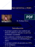 4.prolarso Genital