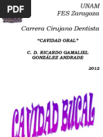 CAVIDAD ORAL - Pps