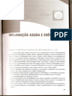 Inflamação Aguda e Crônica