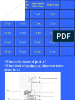 Digestive System Power Point Review 11-16-09