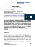 Jurnal Northern Blot