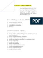 Roteiro Da Aula - Direito Ambiental - Fabiano Melo