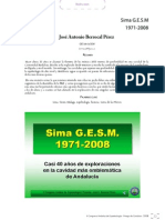 01.sima GESM Berrocal