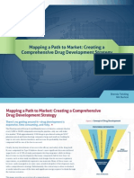 Mapping A Path To Market: Creating A Comprehensive Drug Development Strategy