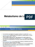 Metabolismo de Lípidos