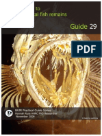 29 BAJR Guide: An Introduction To Archaeological Fish Remains