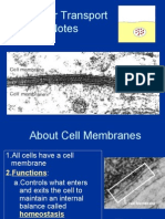 Cell Transport Notes