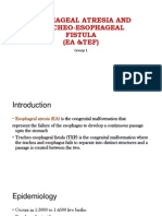 Esophageal Atresia and Tracheo-Esophageal FistulaESOPHAGEAL ATRESIA AND TRACHEO-ESOPHAGEAL FISTULA (EA &TEF)