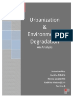 B Urbanization & Environmental Degradation