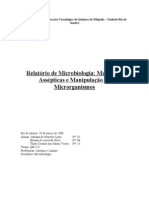 Relatorio Micro - Manobras Assepticas e Manipulaçao de Micro