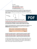 Questões Ciências Provão 9° Ano 2° Bimestre