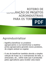 Roteiro de Elaboracao de Projetos Agroindustriais1