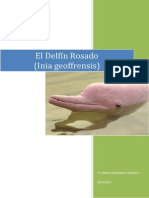 Delfines Rosa