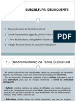 Teoria Da Subcultura Delinquente