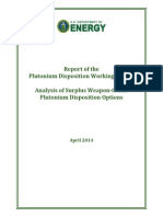 Report of The Plutonium Disposition Working Group: Analysis of Surplus Weapon Grade Plutonium Disposition Options April 2014