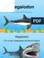 Megalodon