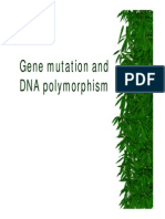 Gene Mutation and DNA Polymorphism