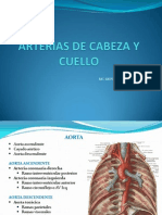 Arterias de Cabeza y Cuello