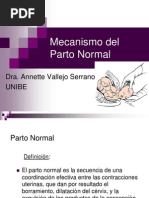 Mecanismo Del Parto Normal