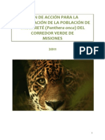 Plan Accion Yaguarete PDF