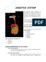 The Digestive System