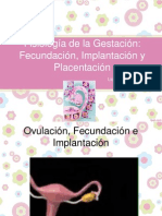 Clase 4 Fisiología de La Gestación